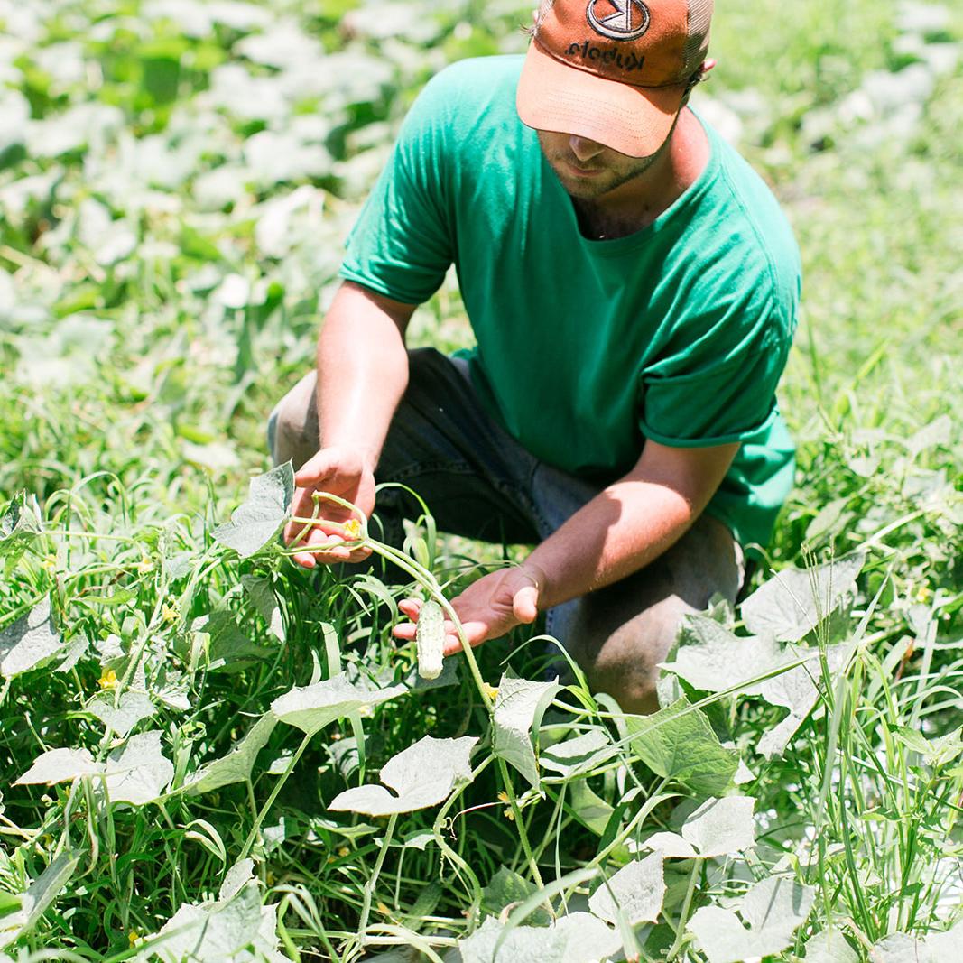 Ag in the Classroom - 4 Simple Ways You Can Thank a Farmer this November!